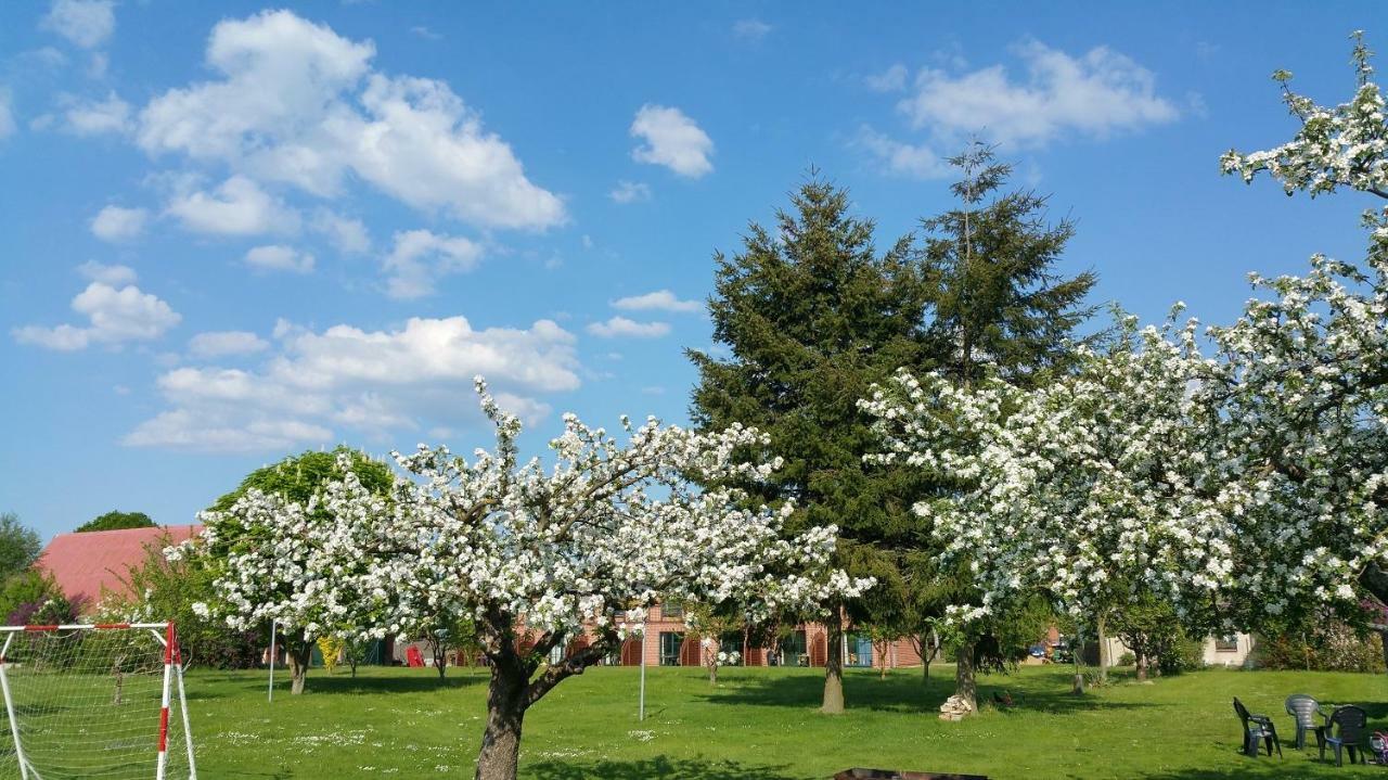 Landferienhof "Mueritzufer" Ludorf Exteriör bild