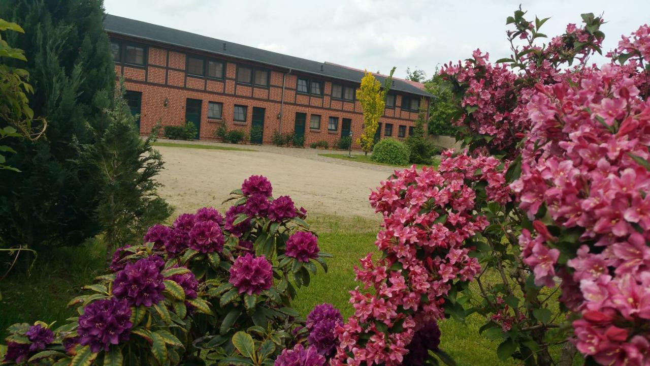 Landferienhof "Mueritzufer" Ludorf Exteriör bild